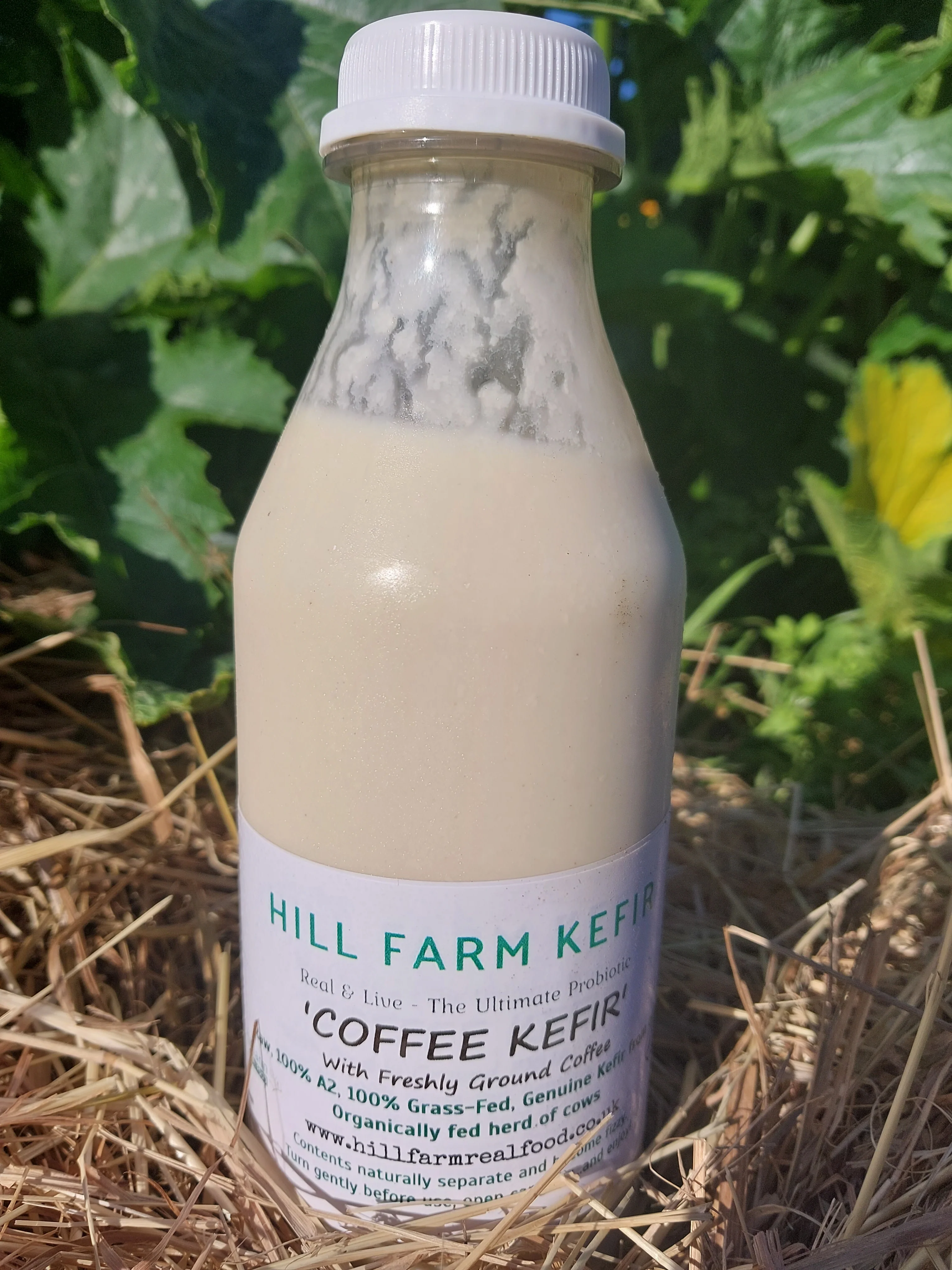 'COFFEE KEFIR' 500ml (limited edition) - Image 3